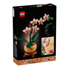 NEU - LEGO Botanicals (10343) Mini-Orchidee