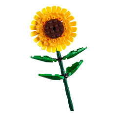 NEU - LEGO Botanicals (40524) - Sonnenblumen | Sun Flowers