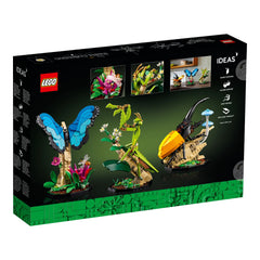NEU - LEGO IDEAS (21342) Die Insektensammlung | The Insect Collection