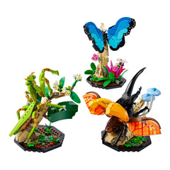 NEU - LEGO IDEAS (21342) Die Insektensammlung | The Insect Collection