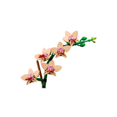 NEU - LEGO Botanicals (10343) Mini-Orchidee