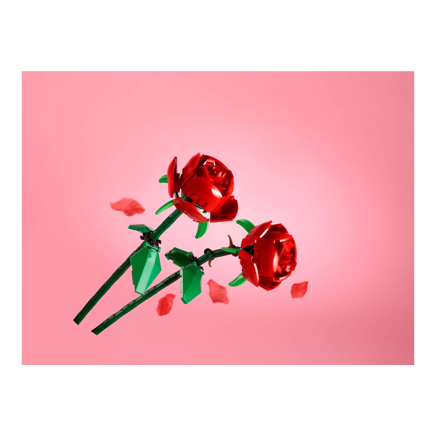 NEU - LEGO Botanicals (40460) - Rosen | Roses