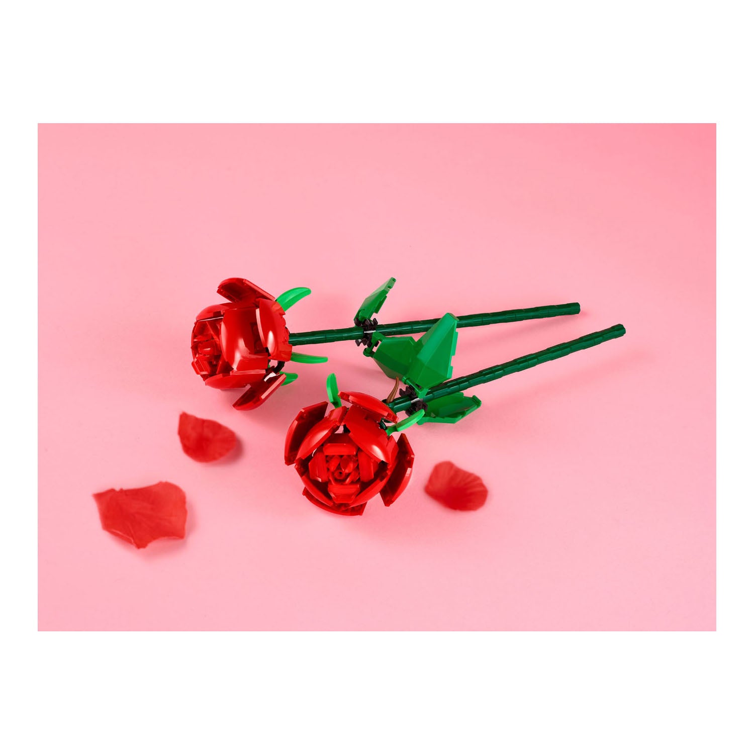 NEU - LEGO Botanicals (40460) - Rosen | Roses