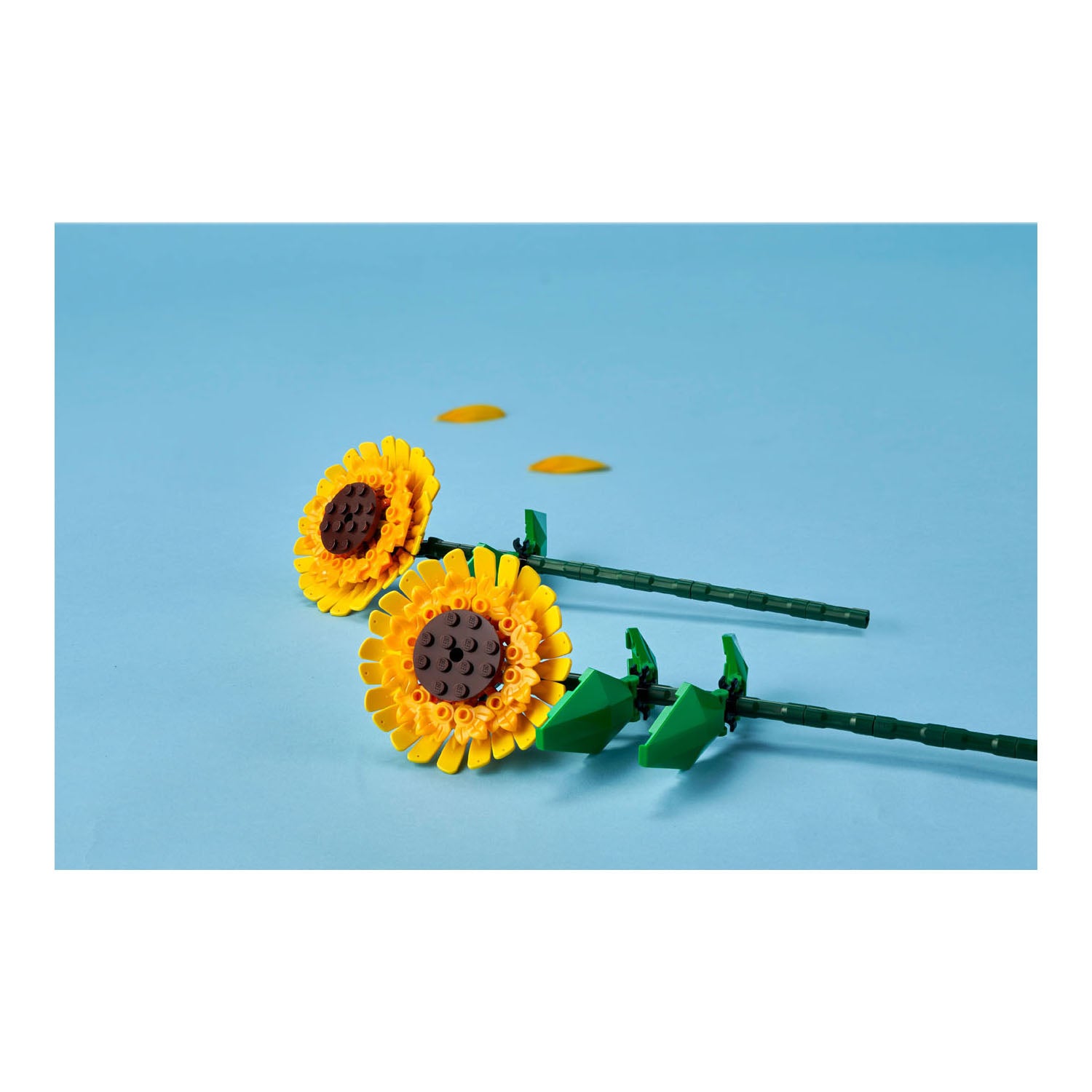 NEU - LEGO Botanicals (40524) - Sonnenblumen | Sun Flowers