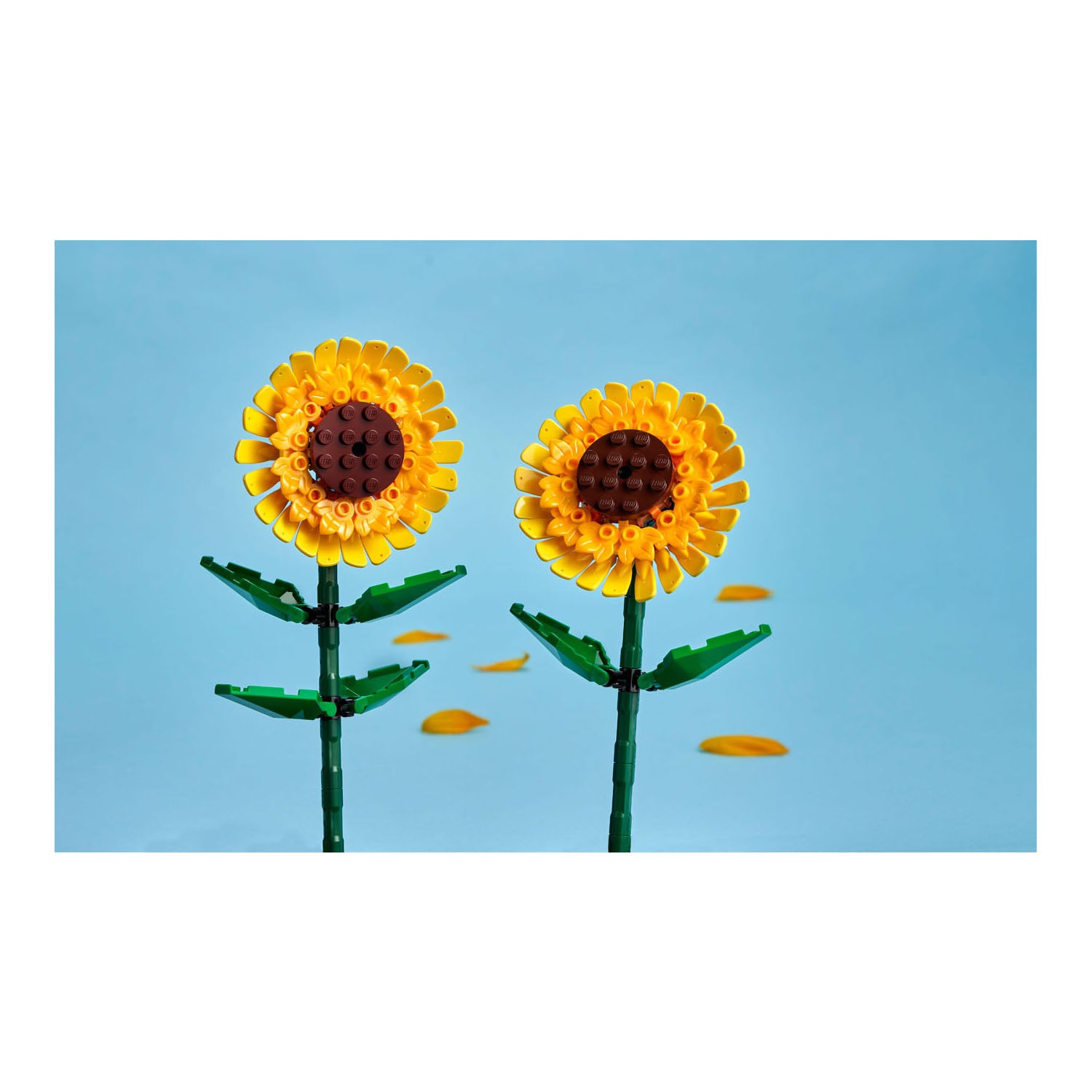 NEU - LEGO Botanicals (40524) - Sonnenblumen | Sun Flowers