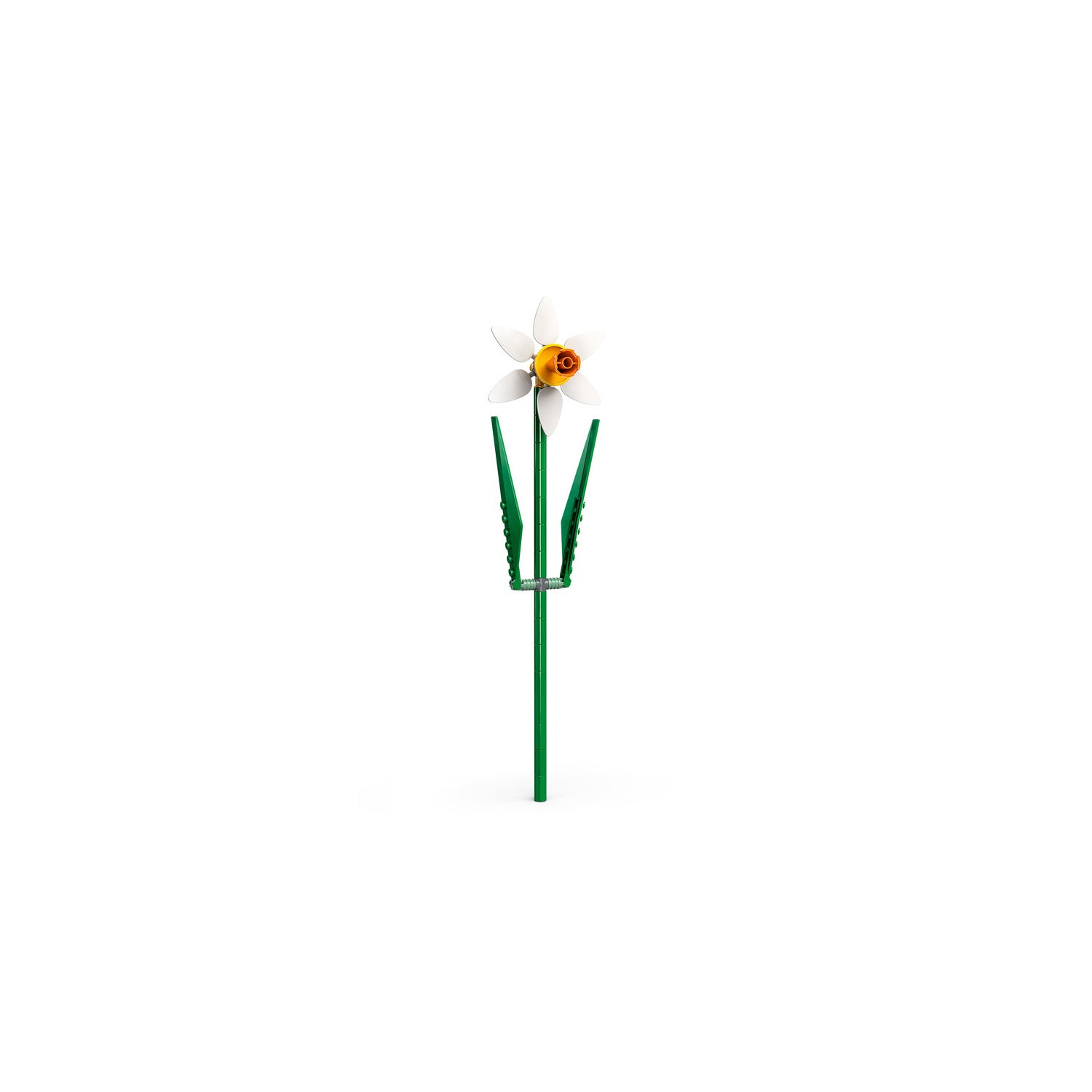 NEU - LEGO Botanicals (40747) - Narzissen | Daffodils