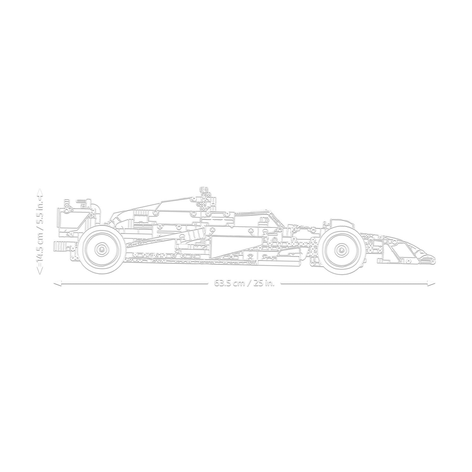 NEU - LEGO TECHNIC (42206) - Oracle Red Bull Racing RB20 F1 Rennauto