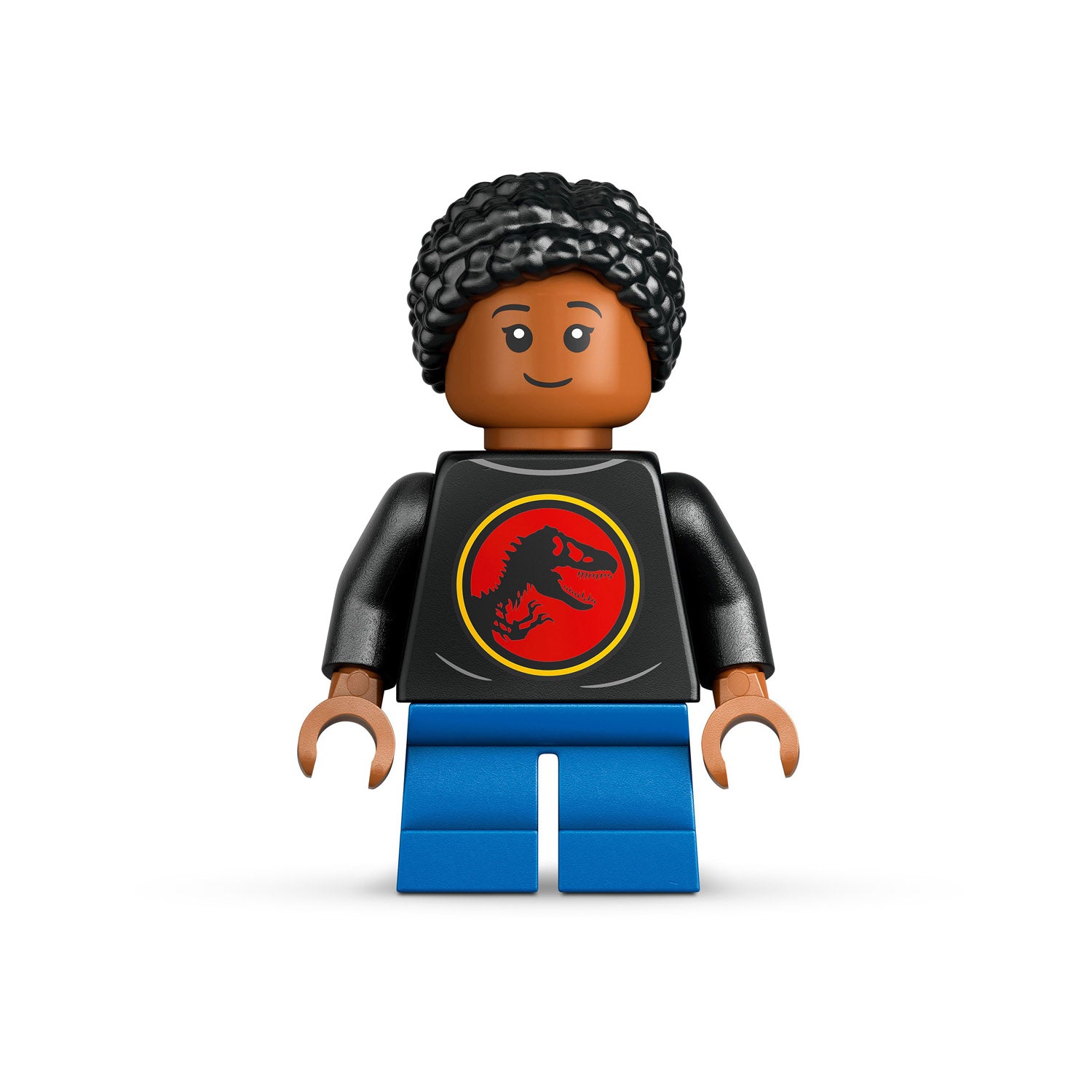 NEU - LEGO Jurassic World (76969) Dinosaurier-Fossilien: Triceratops-Schädel