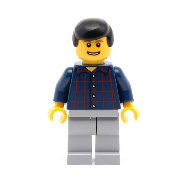 LEGO cty0146 - (Plaid Button Shirt, Light Bluish Gray Legs, Black Male Hair)