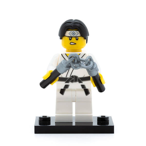 LEGO col20-10 - Martial Arts Boy, Series 20 (Set mit Stand und Zubehör)