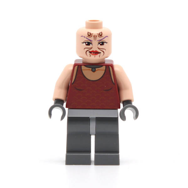 LEGO sw0305 - Sugi