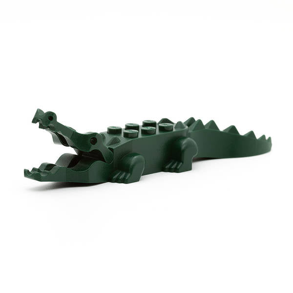 LEGO Tier 6026c01pb01-Dark Green