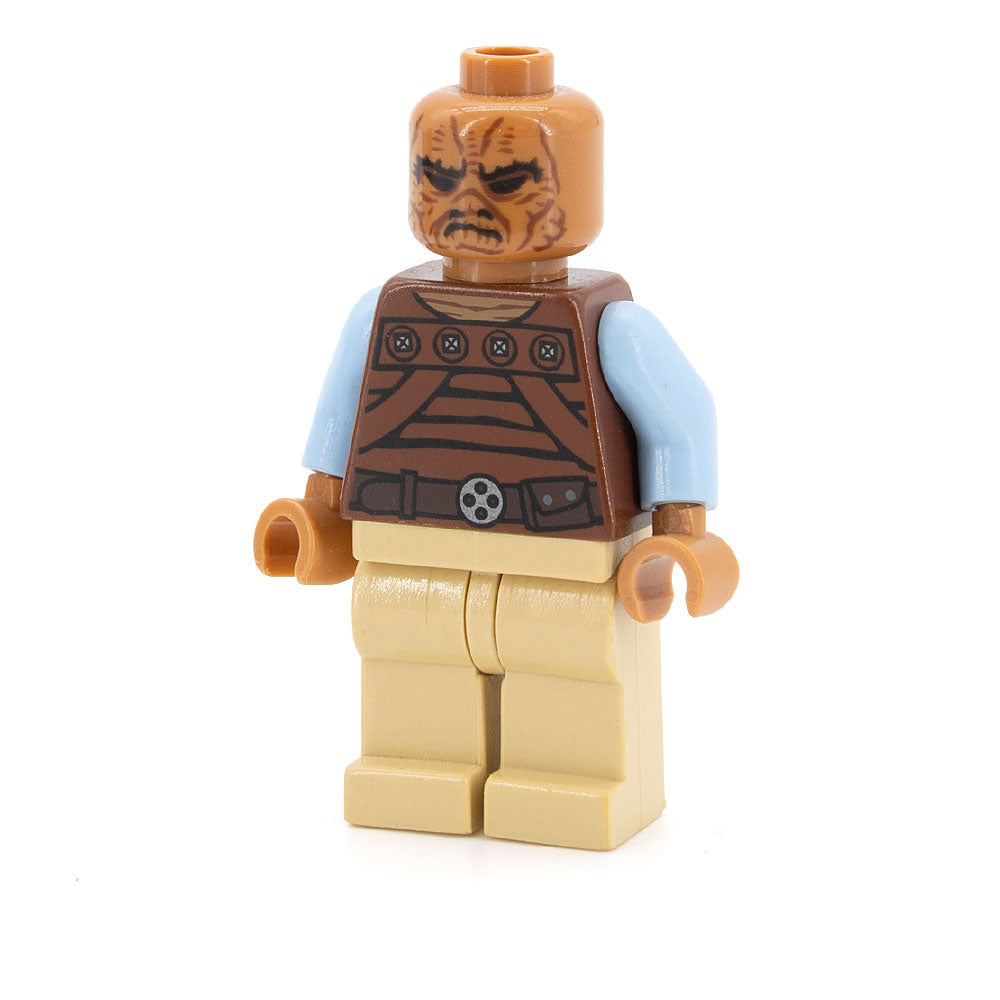 LEGO sw0487 - Weequay Skiff Guard (Pagetti Rook)