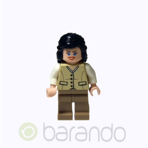 LEGO iaj019 Marion Ravenwood